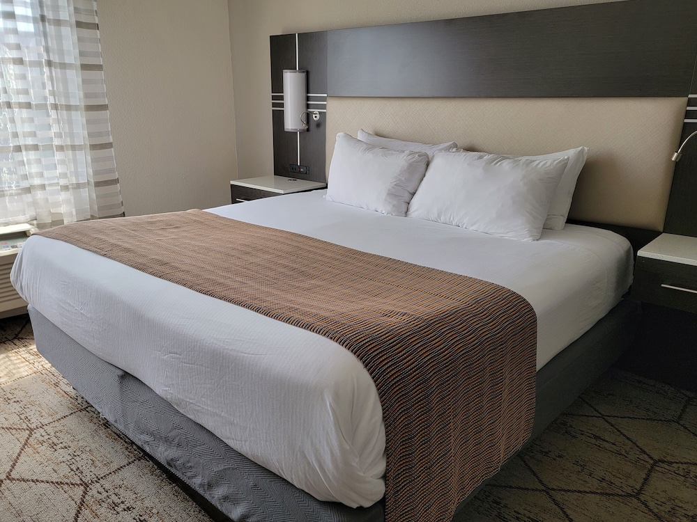 Standard Room, 1 King Bed photo 3
