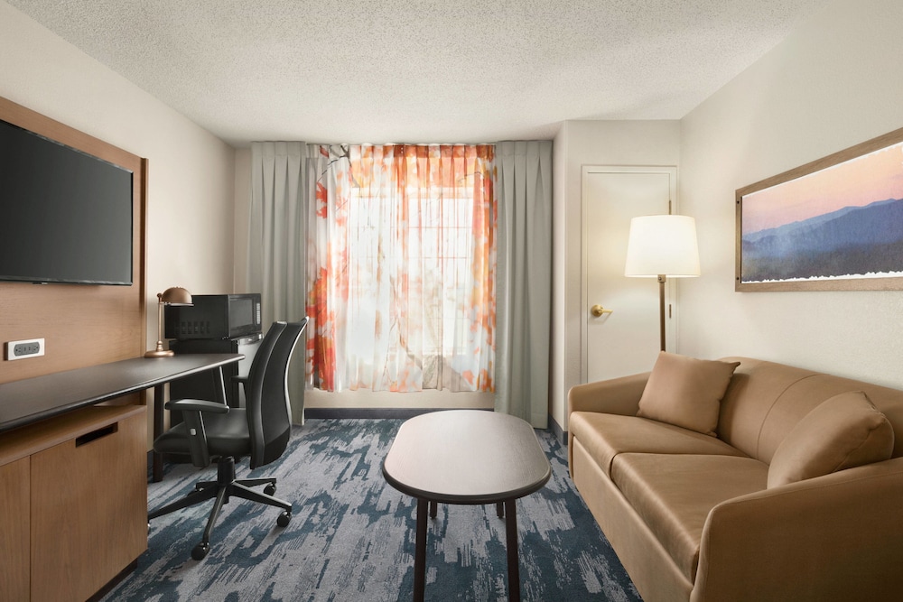 Suite, 1 King Bed With Sofa Bed (Mobility Accessible, Tub) - Photo 1