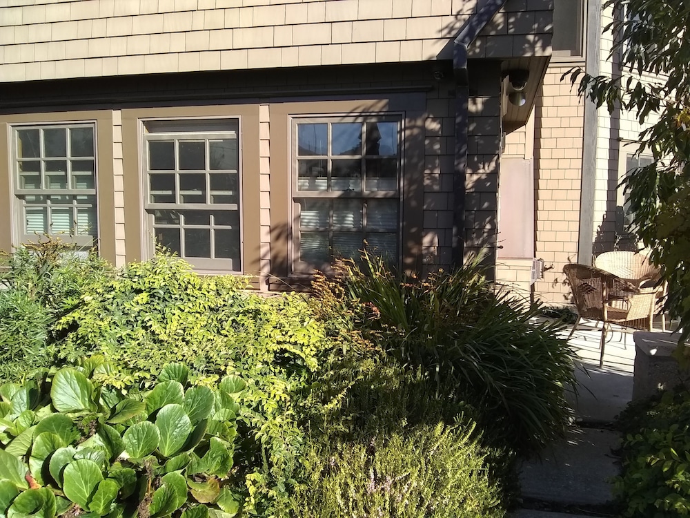 Captains Cabin (Pet friendly) photo 3