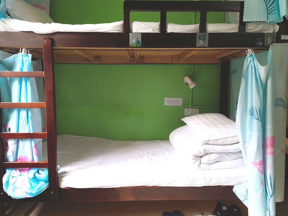 Bed in 6-bed Male Dormitory Room photo 3