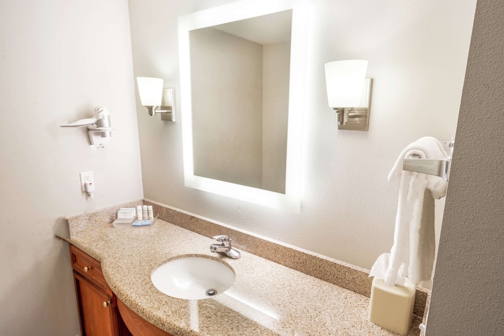 Premium Suite, 1 King Bed, Accessible, Non Smoking (Hearing) - Photo 12