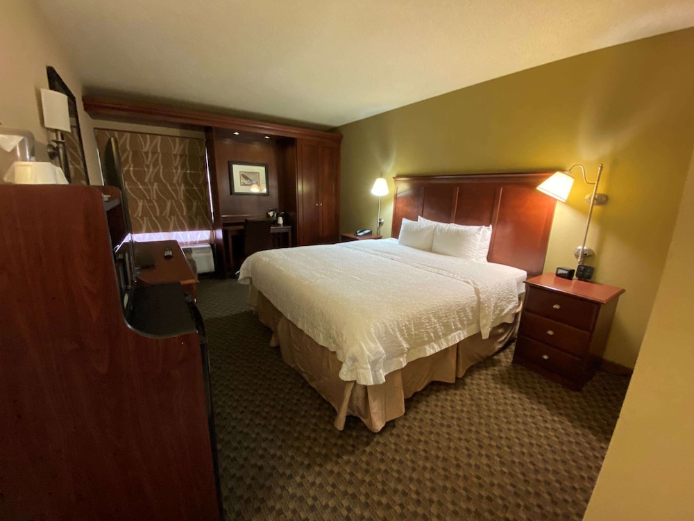 Standard Room, 1 King Bed, Non Smoking, Refrigerator & Microwave (Walk-in Shower) photo 1