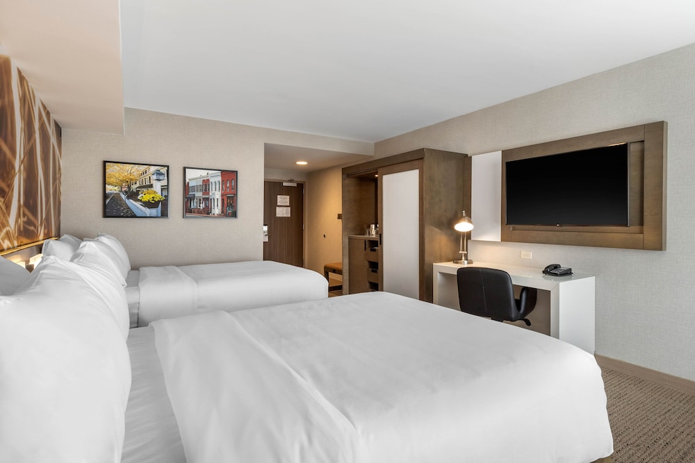 2 Queen Beds Suite with Sofa Sleeper photo 2