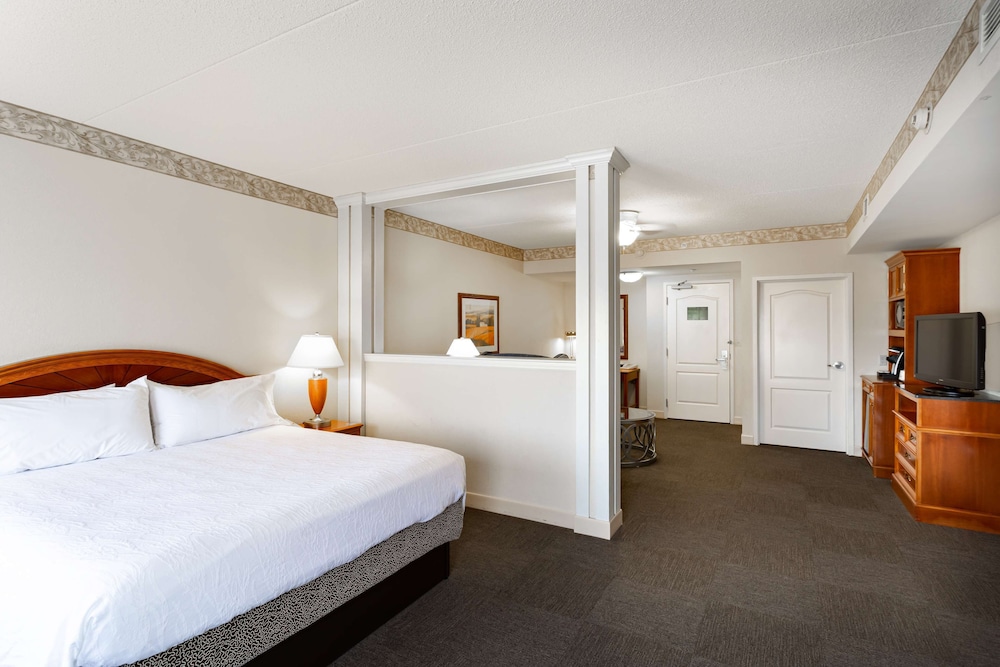 Suite, 1 King Bed, Accessible - Photo 4