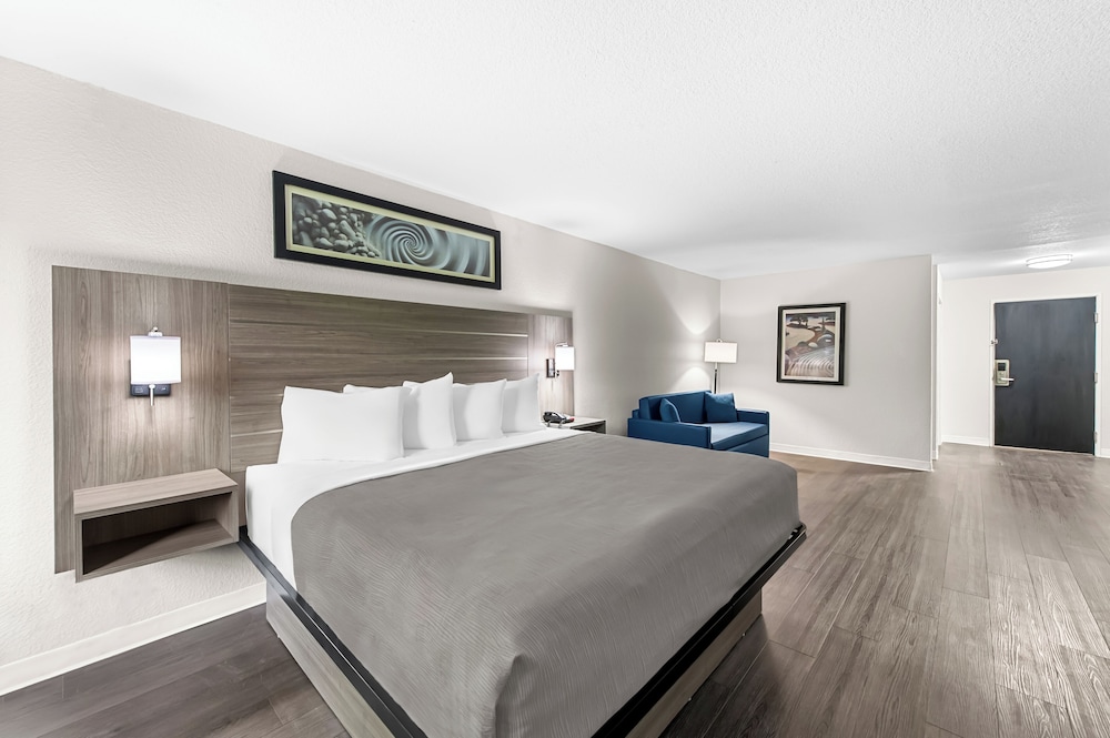 Suite, 1 King Bed with Sofa bed, Accessible, Non Smoking - Photo 1