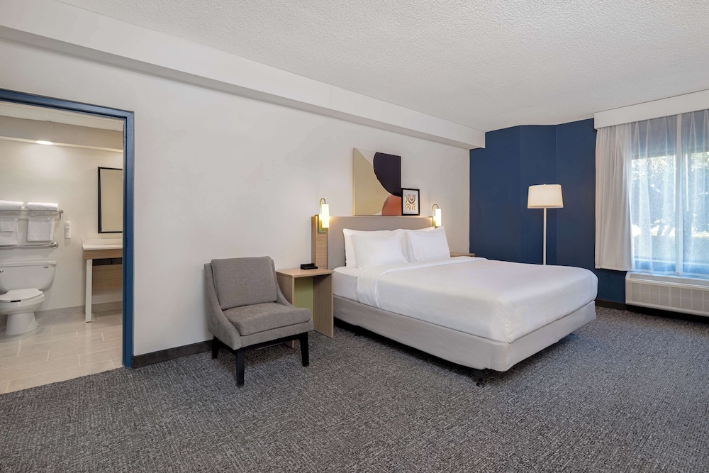 Room, 1 King Bed, Accessible Bathtub (Mobility Accessible) - Photo 4