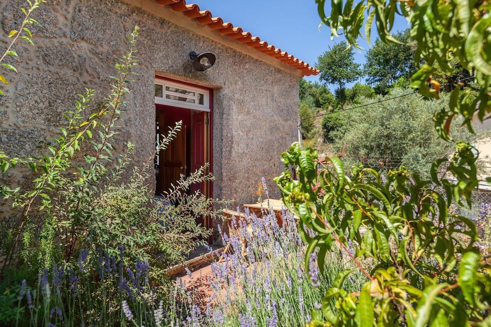 Casa do Eido - sustainable living & nature experiences Gerês, Billede 3