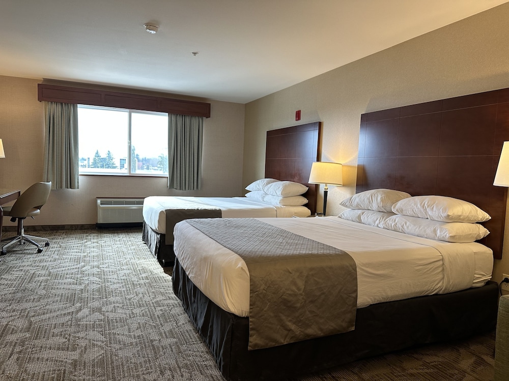 Traditional Room, 2 Queen Beds, Ground Floor (Pet Friendly) photo 3