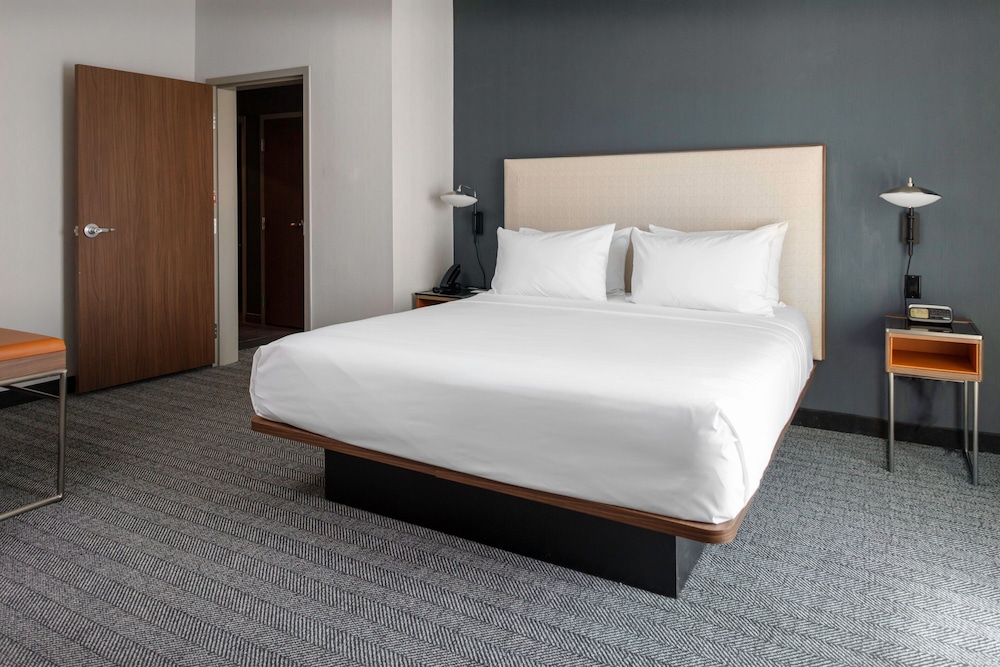 Room, 1 King Bed with Sofa bed, Roll-in Shower, Non Smoking photo 2