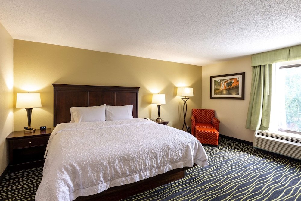 Studio, 1 King Bed, Refrigerator & Microwave (Shower) - Photo 4