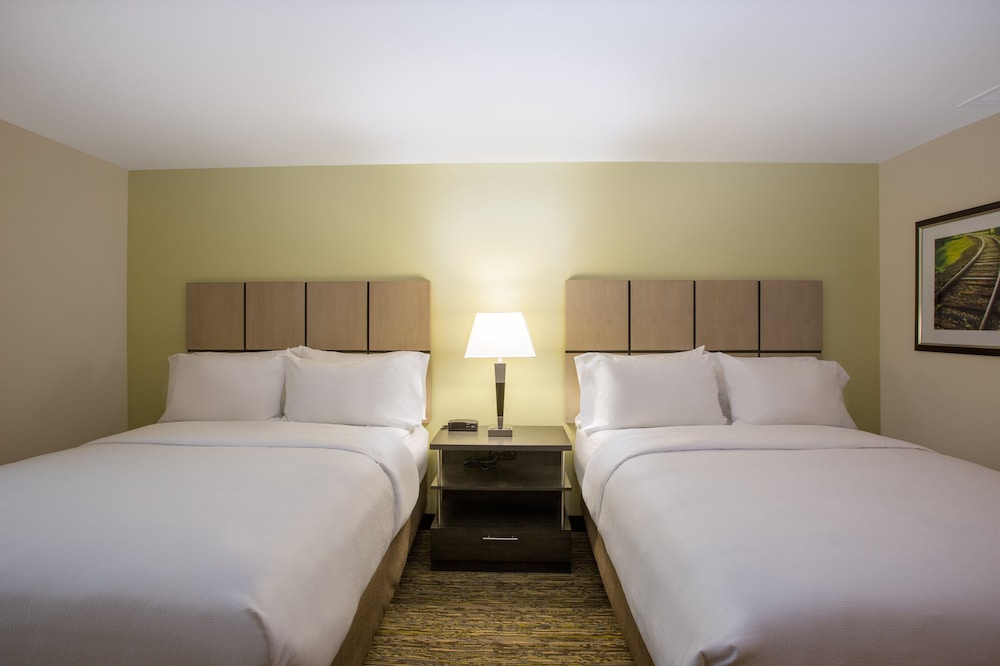 Studio Suite, 2 Queen Beds - Photo 1