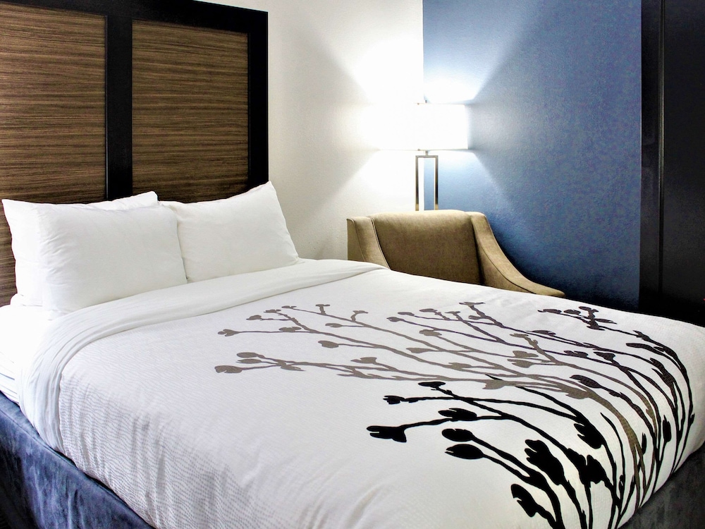 Standard Room, 1 King Bed, Non Smoking - Photo 1