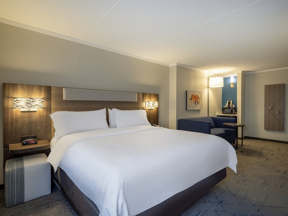 Standard Room, 1 King Bed with Sofa bed, Accessible (Mobility) - Photo 3