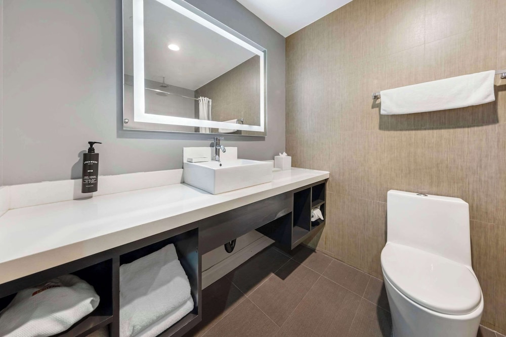 Basic Suite, 1 King Bed, Non Smoking - Photo 4