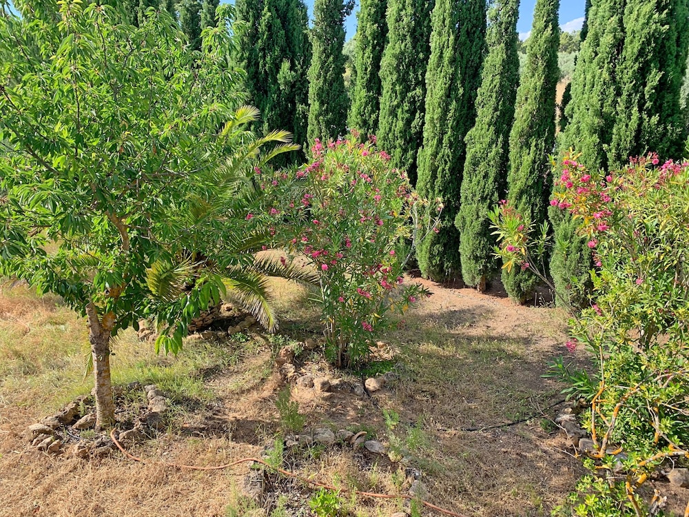 Premium House photo 3