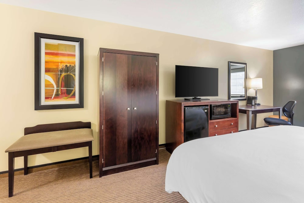 Standard Room, 1 King Bed, Accessible, Bathtub - Photo 4