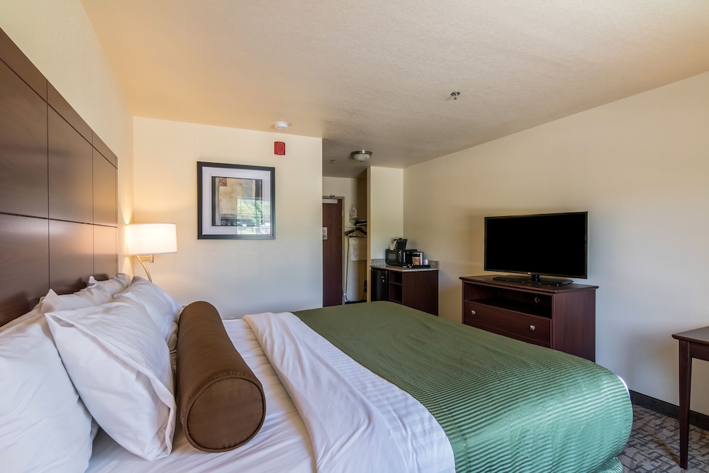 Room, 1 King Bed, Non Smoking (Audible/Visual Adapted)