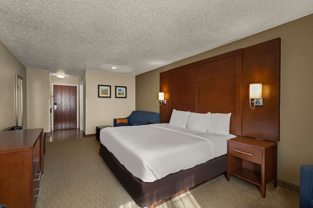 Standard Room, 1 King Bed with Sofa bed, Non Smoking photo 3