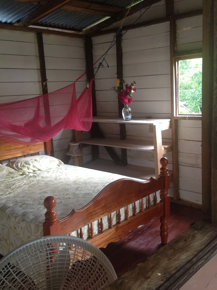 Economy Room photo 1