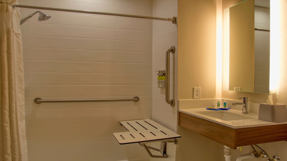 Standard Room, 1 King Bed, Accessible (Mobility, Roll-In Shower) - Photo 5