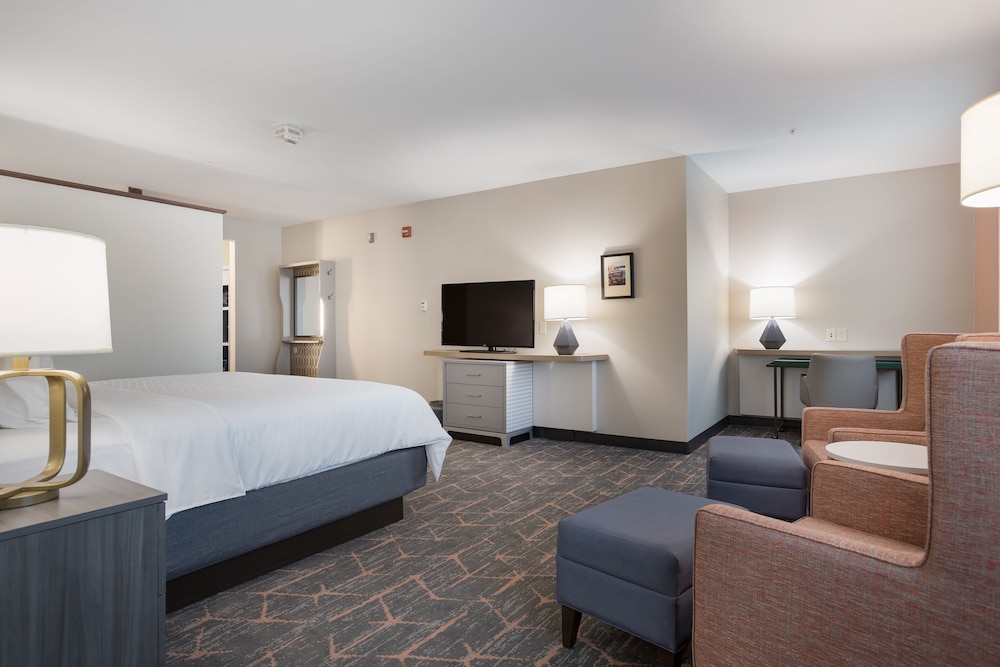 Suite, 1 Bedroom, Accessible (Communications) photo 3