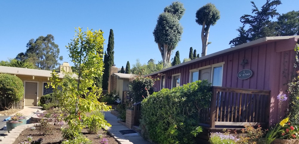 Family Cottage photo 3