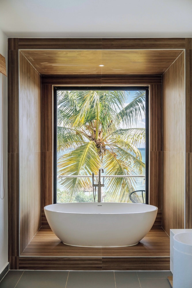 Tropical Nest - Photo 14