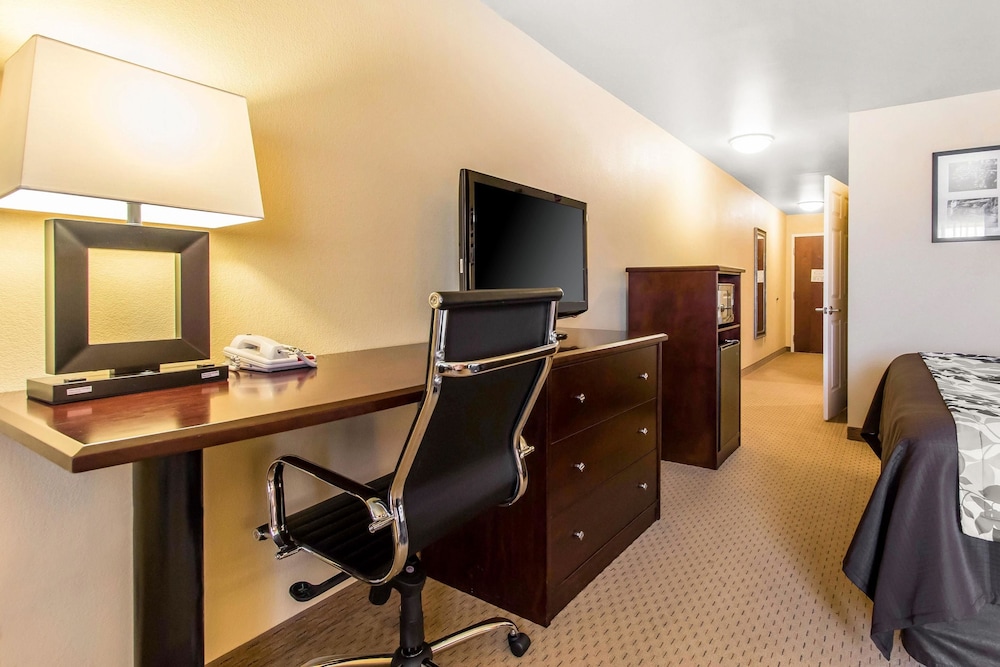 Room, 1 King Bed, Accessible - Photo 4