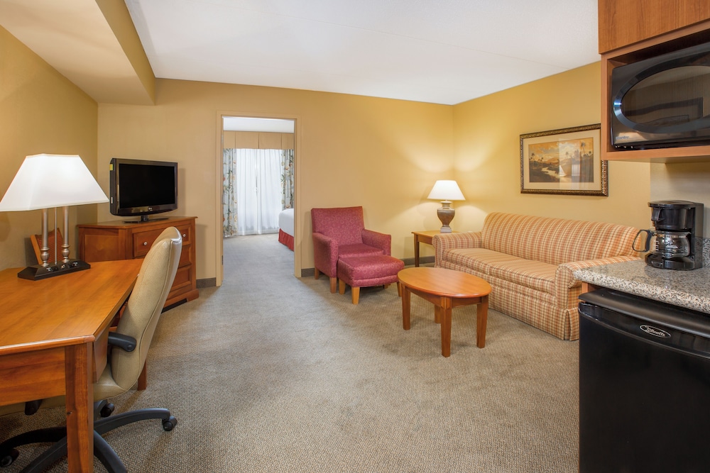 Suite, 1 King Bed with Sofa bed photo 1