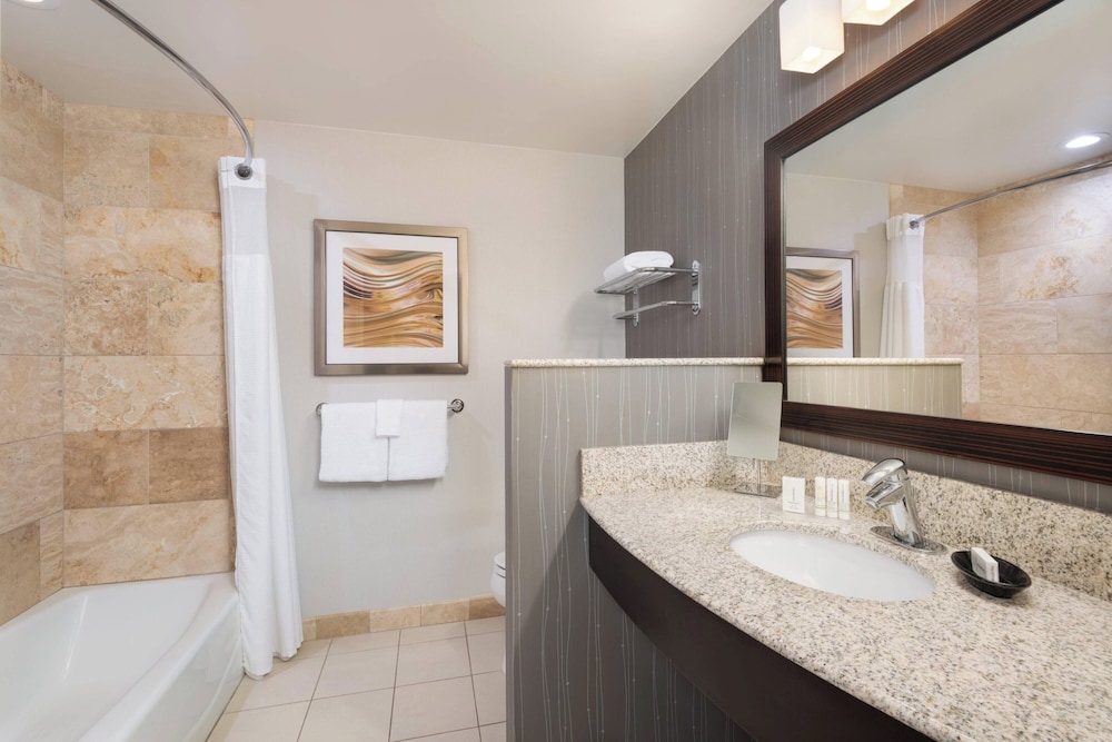 Suite, 1 Bedroom - Photo 10