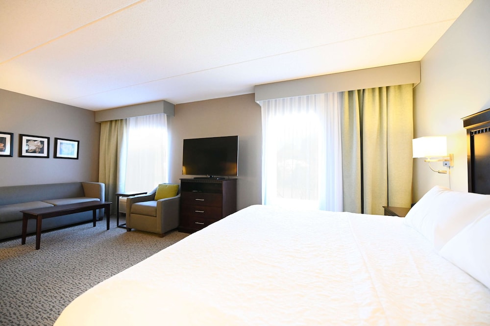 Suite, 1 King Bed - Photo 3