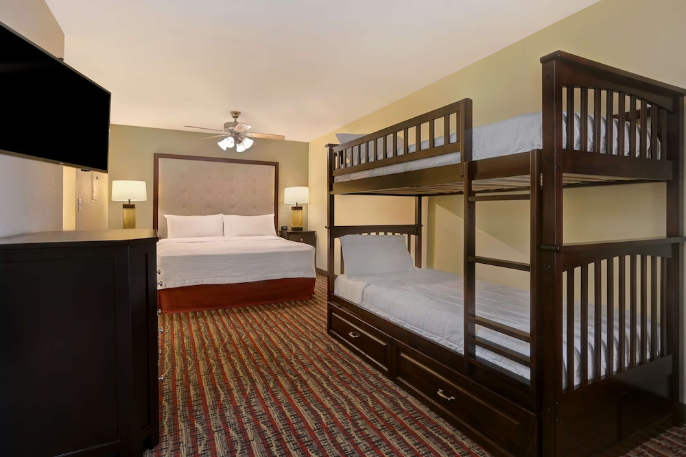 Room, Multiple Beds