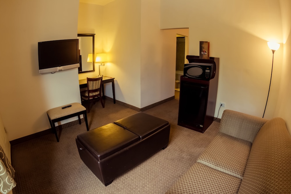 Junior Suite, 1 King Bed photo 1
