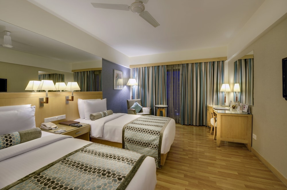 Deluxe Room - Photo 4