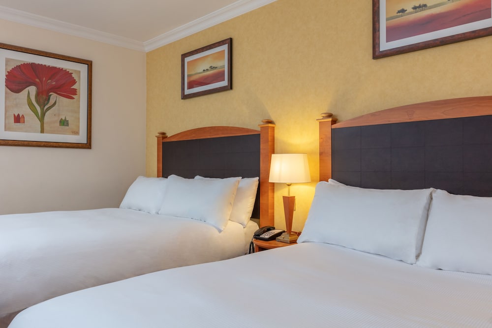 Classic Twin Room - Photo 1