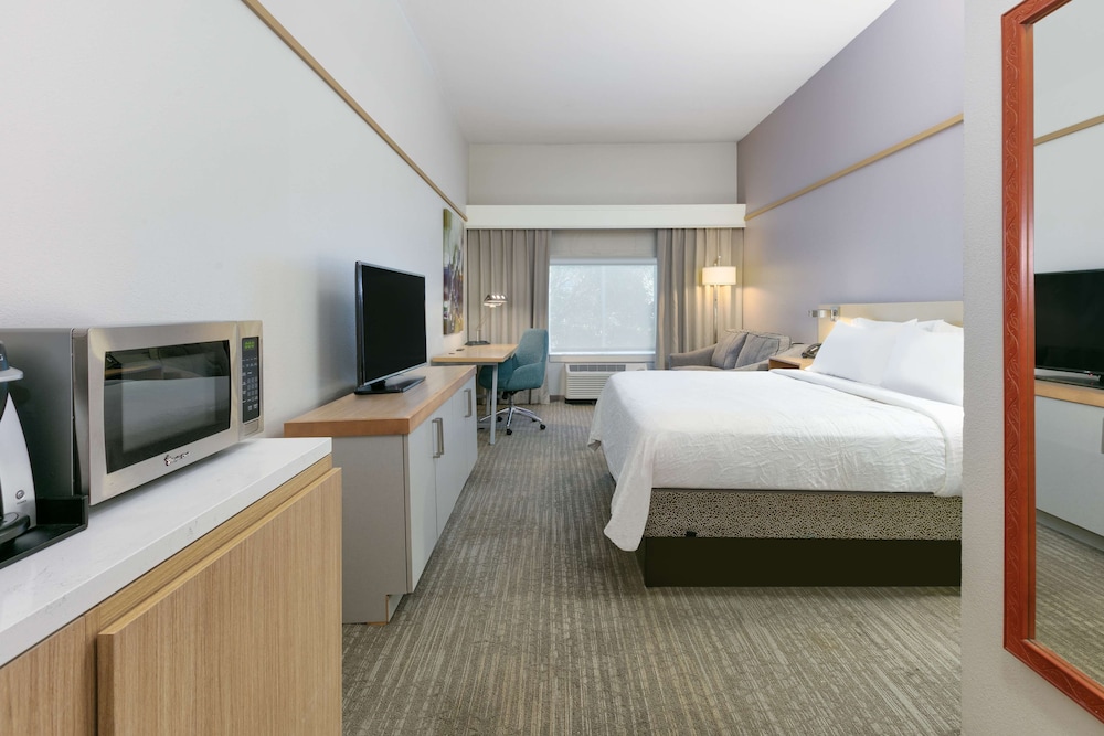 Room, 1 King Bed, Accessible, Bathtub - Photo 4