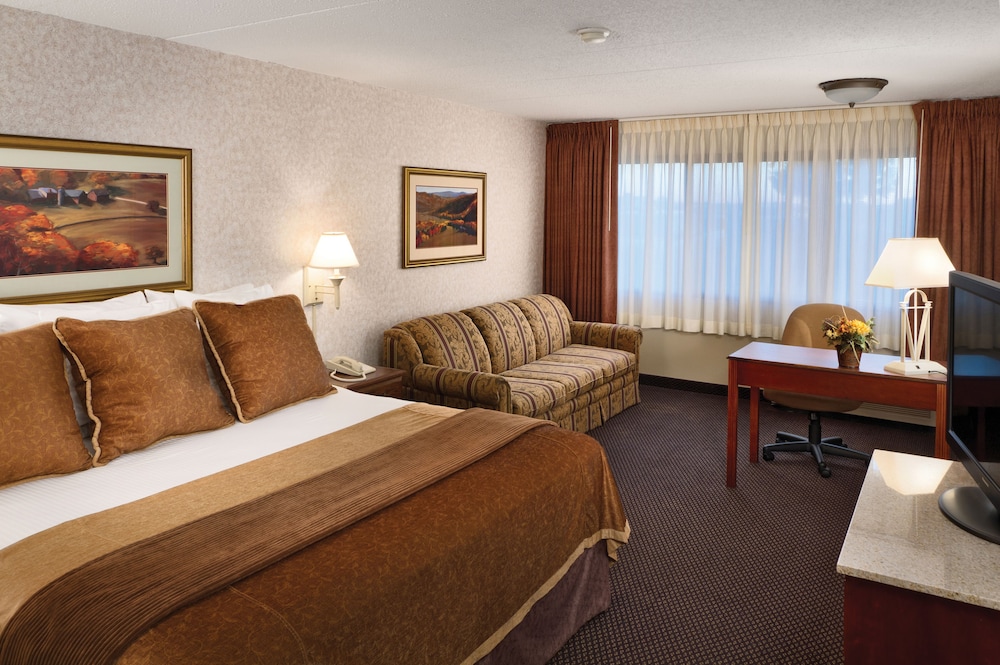 Room, 1 King Bed photo 2