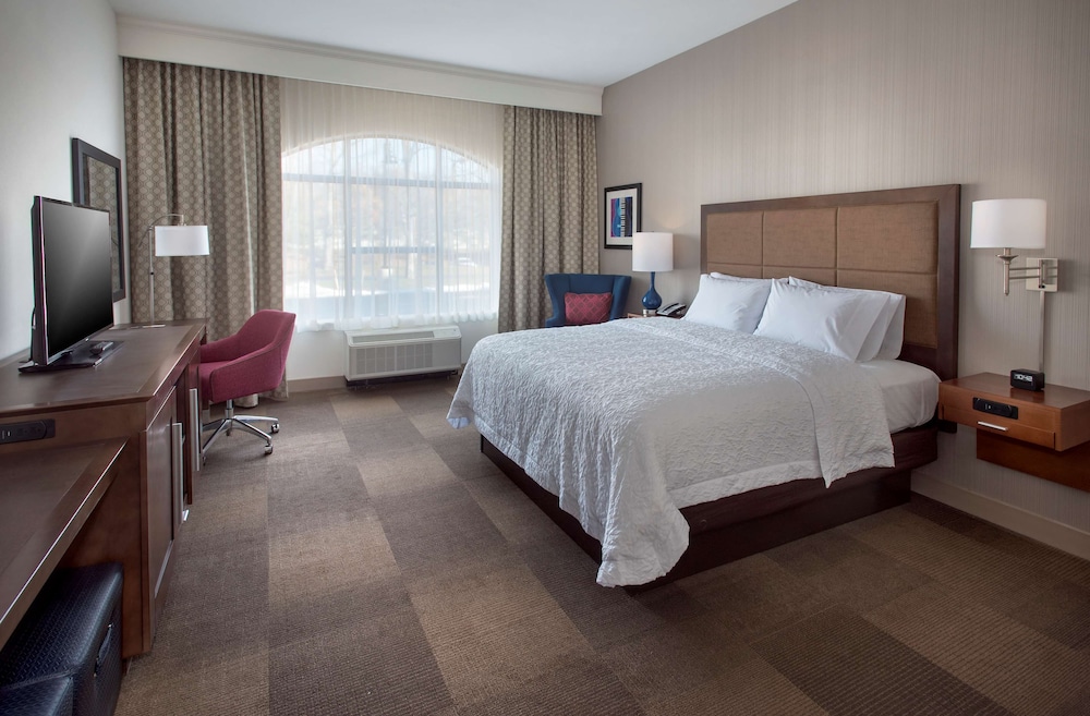 Room, 1 King Bed, Accessible (Mobility & Hearing, Roll-in Shower) photo 3