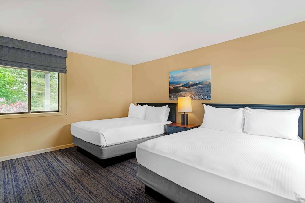 Suite, 2 Queen Beds, Non Smoking, Kitchen (Third bed is a Sofabed) - Photo 10