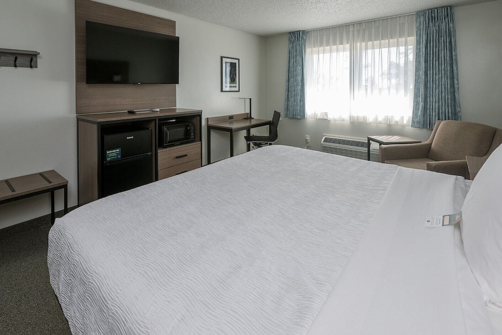 Standard Room, 1 King Bed, Walk Up photo 3