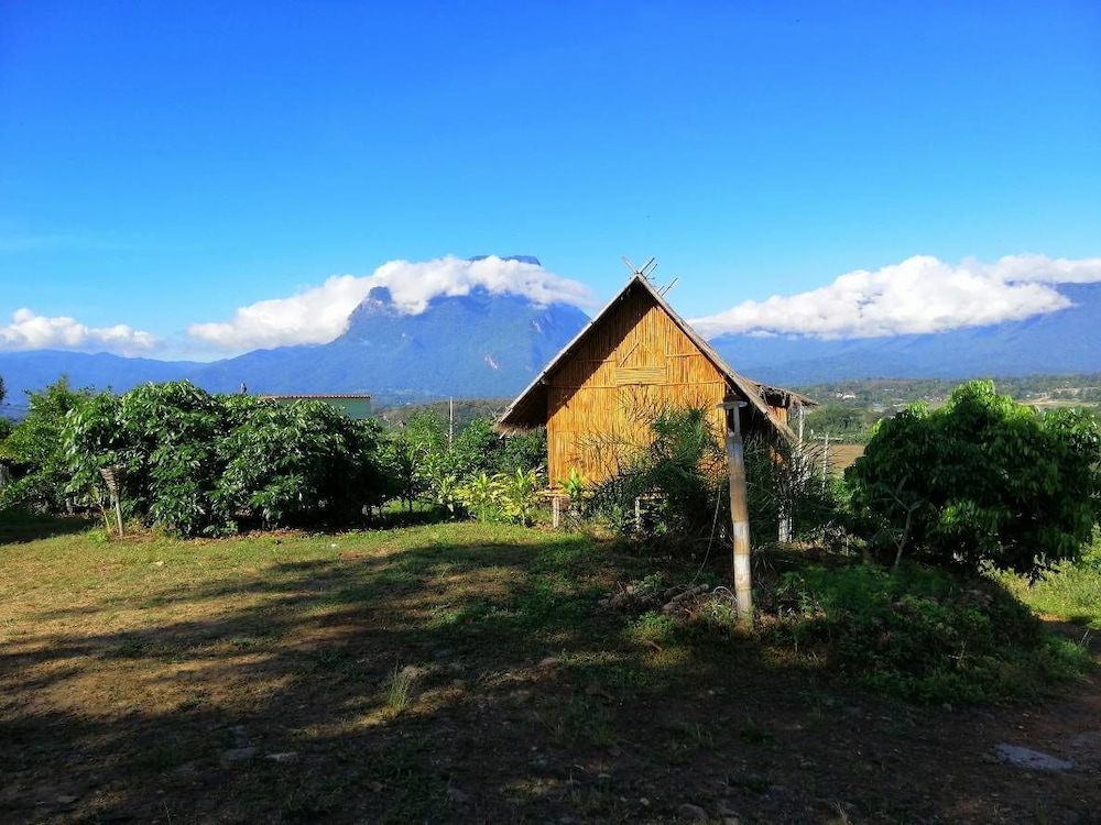 Bamboo Hut photo 3
