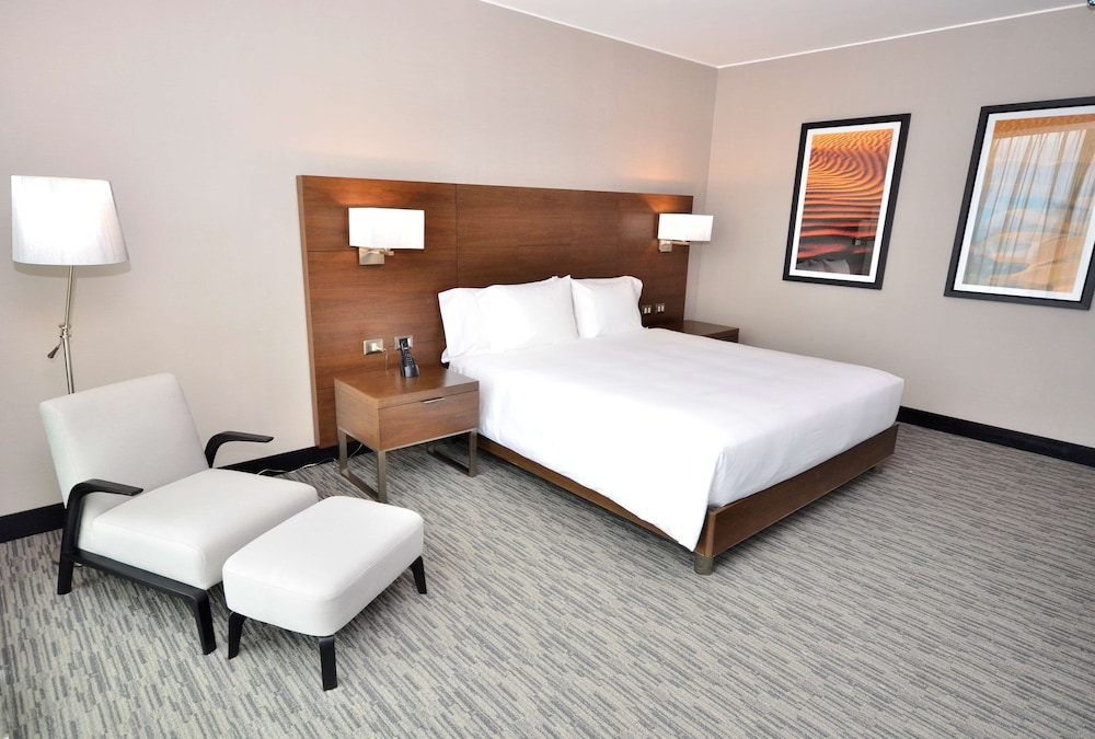 Room, 1 King Bed, Accessible photo 3