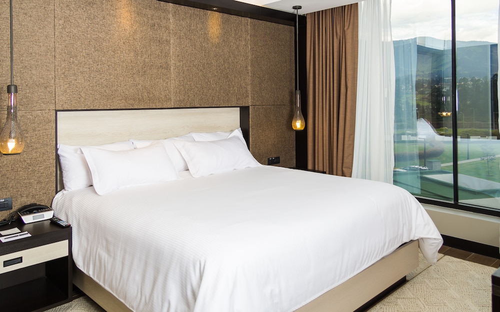 Deluxe Room, 1 King Bed, Mountain View photo 3