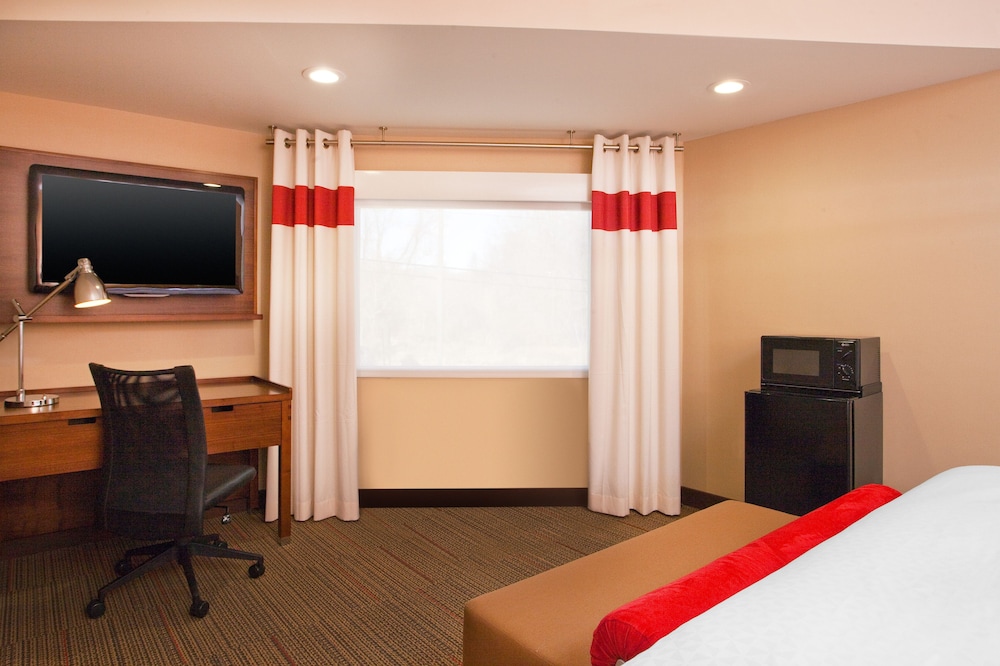 Classic Room, Multiple Beds (Two Queen Beds with Sofa Bed) - Photo 2