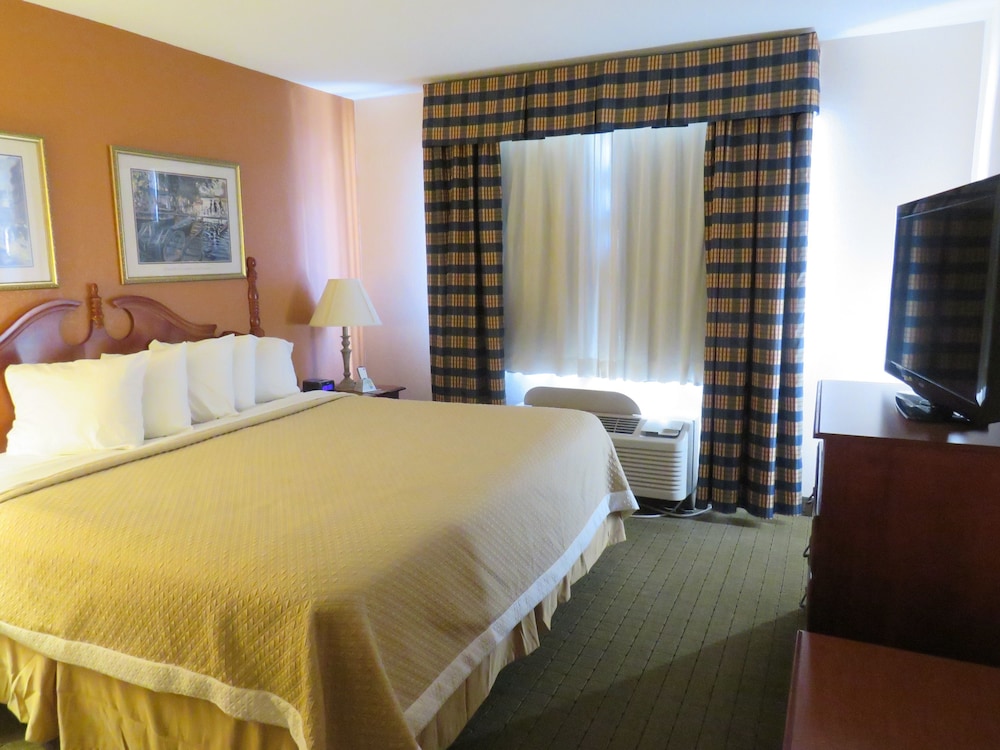 Suite, 1 Bedroom - Photo 5