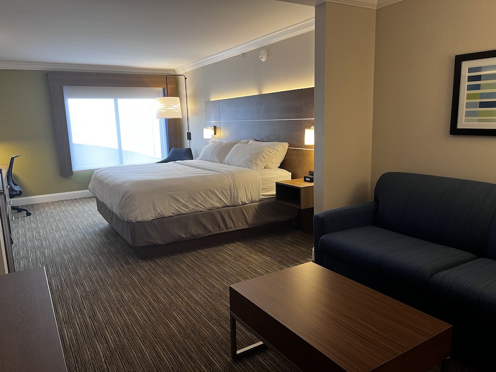 Suite, 1 King Bed photo 1