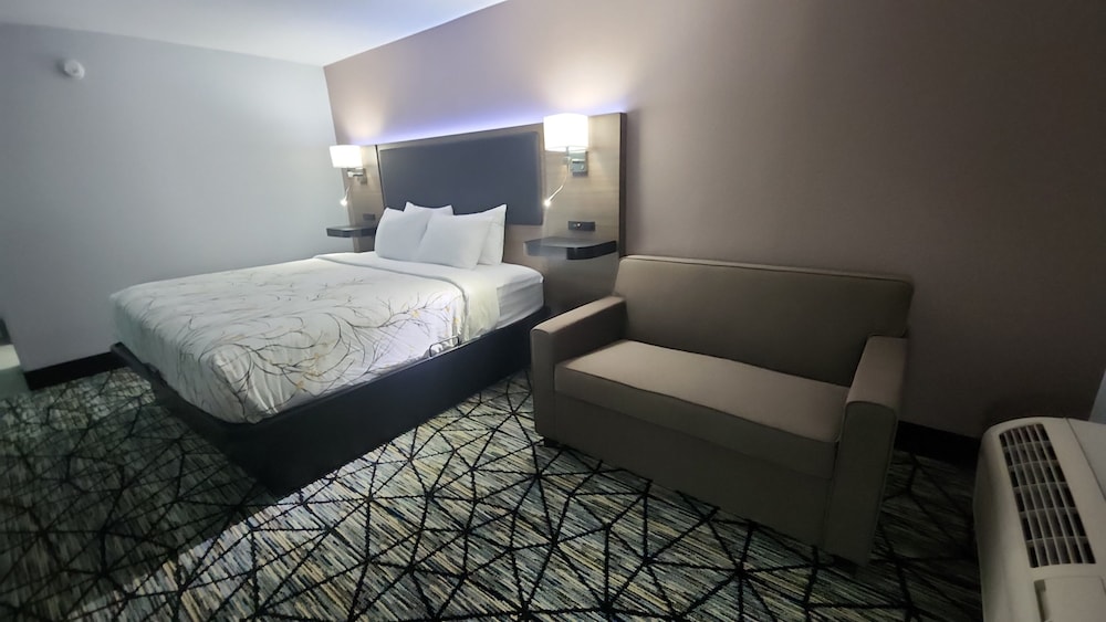Room, 1 King Bed with Sofa bed, Non Smoking