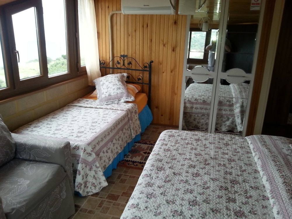 Triple Room photo 1