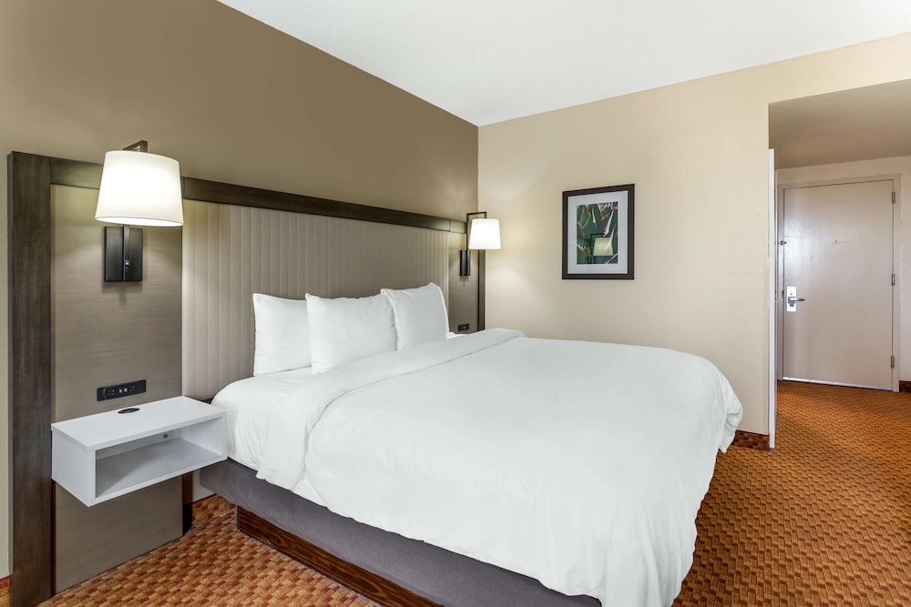 Business Room, 1 King Bed, Non Smoking, Refrigerator photo 2