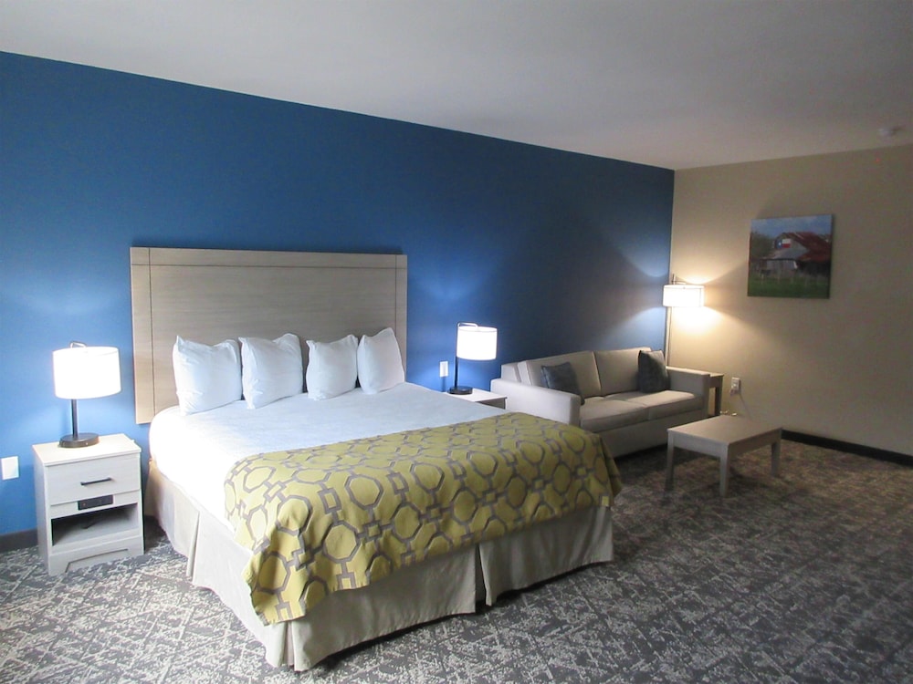 Suite, 1 King Bed, Accessible, Bathtub (with Sofabed) - Photo 1
